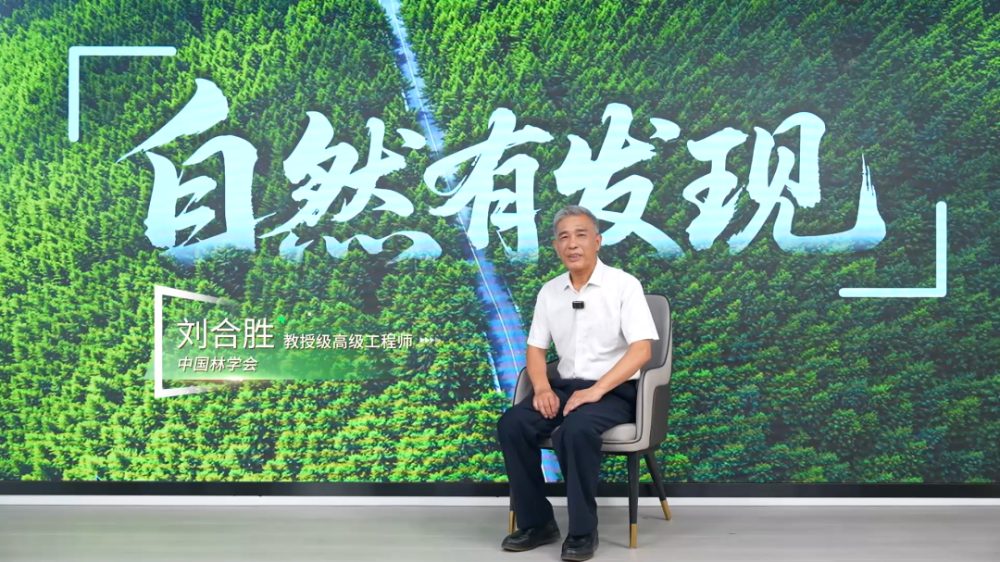 1773534118670293.jpg 1773534118670293.jpg