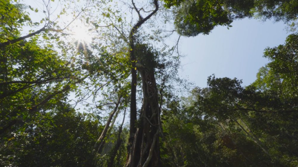 1773534148878639.jpg 1773534148878639.jpg