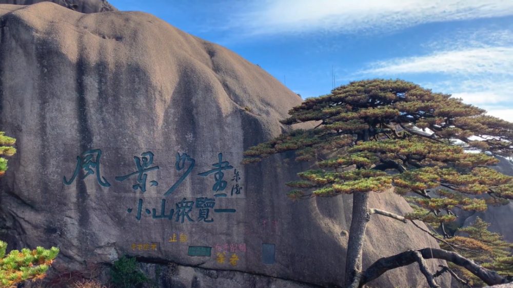 1773534232865793.jpg 1773534232865793.jpg