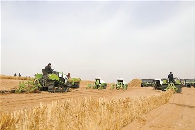 1773643420619641.jpg 1.jpg