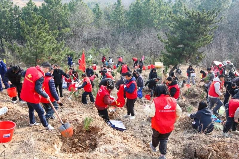 1773810865145027.jpg 5 (1).jpg