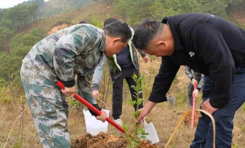 1773811087653046.jpg 4.jpg