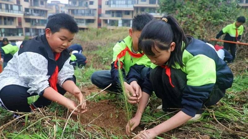 1773811094427923.jpg 5.jpg