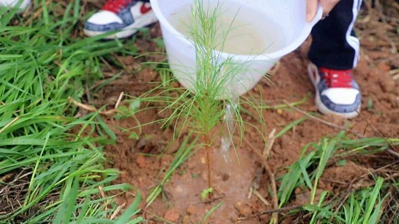 1773811101488404.jpg 6.jpg