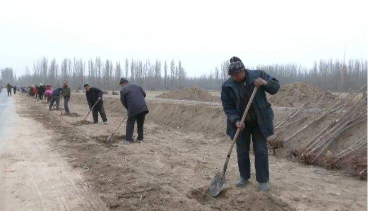 1773812001772468.jpg 2 (1).jpg