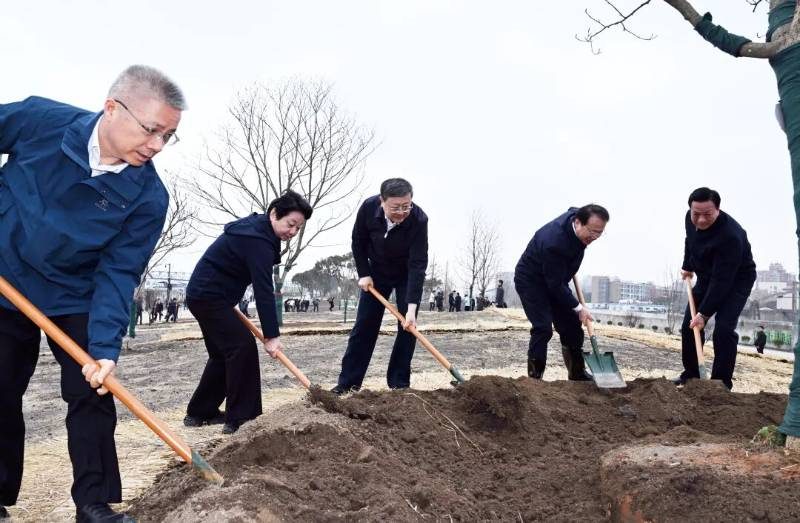 1773999206442890.jpg 1 (1).jpg