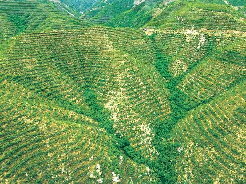 1773999964859772.jpg 3 (1).jpg