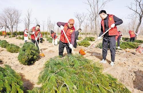 1774333929394292.jpg 1 (1).jpg