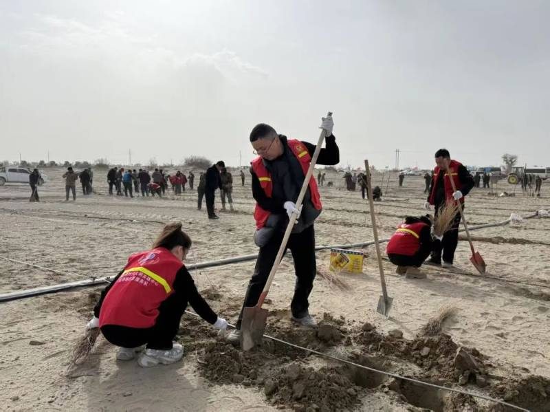 1774409375162408.jpg 11.jpg