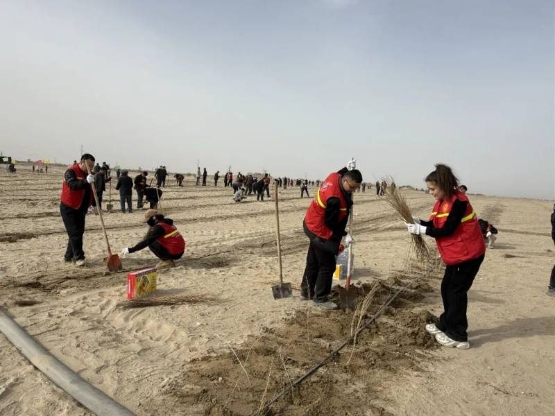 1774409390336447.jpg 10.jpg