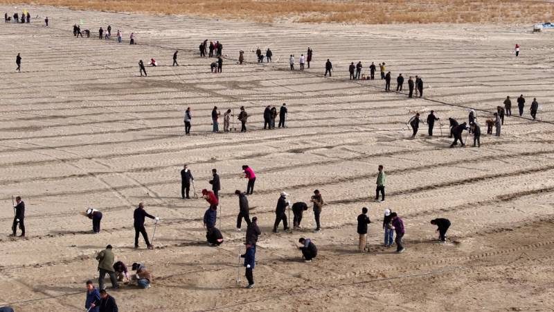 1774409404973628.jpg 9.jpg